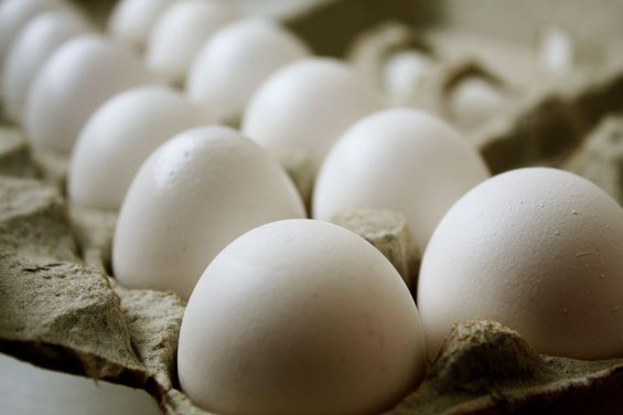 Egg Pie.jpg